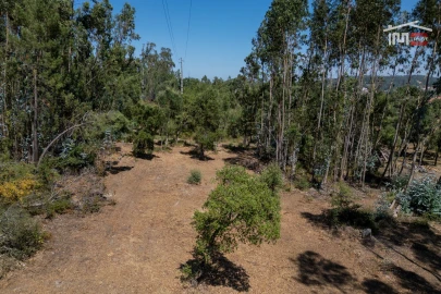 Terreno para Venda em Nossa Senhora da Piedade