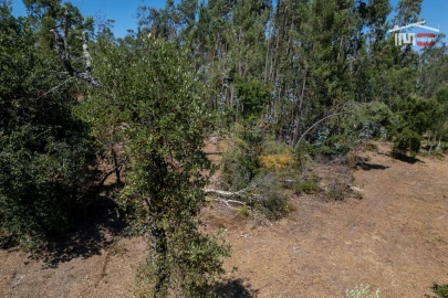 Terreno para Venda em Nossa Senhora da Piedade