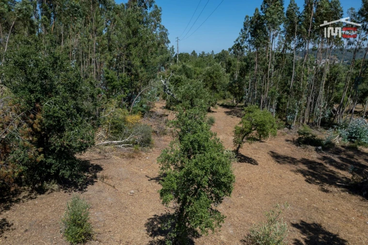 Terreno para Venda em Nossa Senhora da Piedade Foto 2