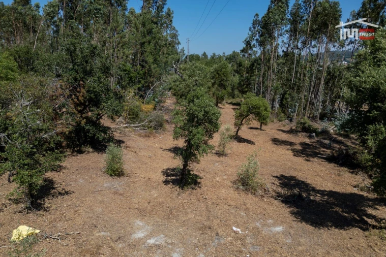 Terreno para Venda em Nossa Senhora da Piedade Foto 8