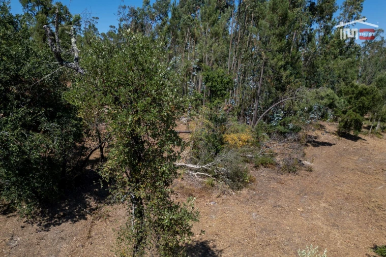 Terreno para Venda em Nossa Senhora da Piedade Foto 12