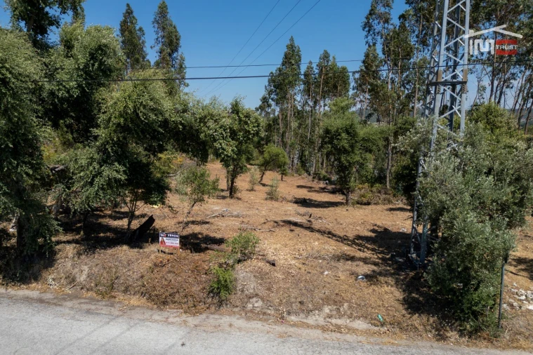 Terreno para Venda em Nossa Senhora da Piedade Foto 13