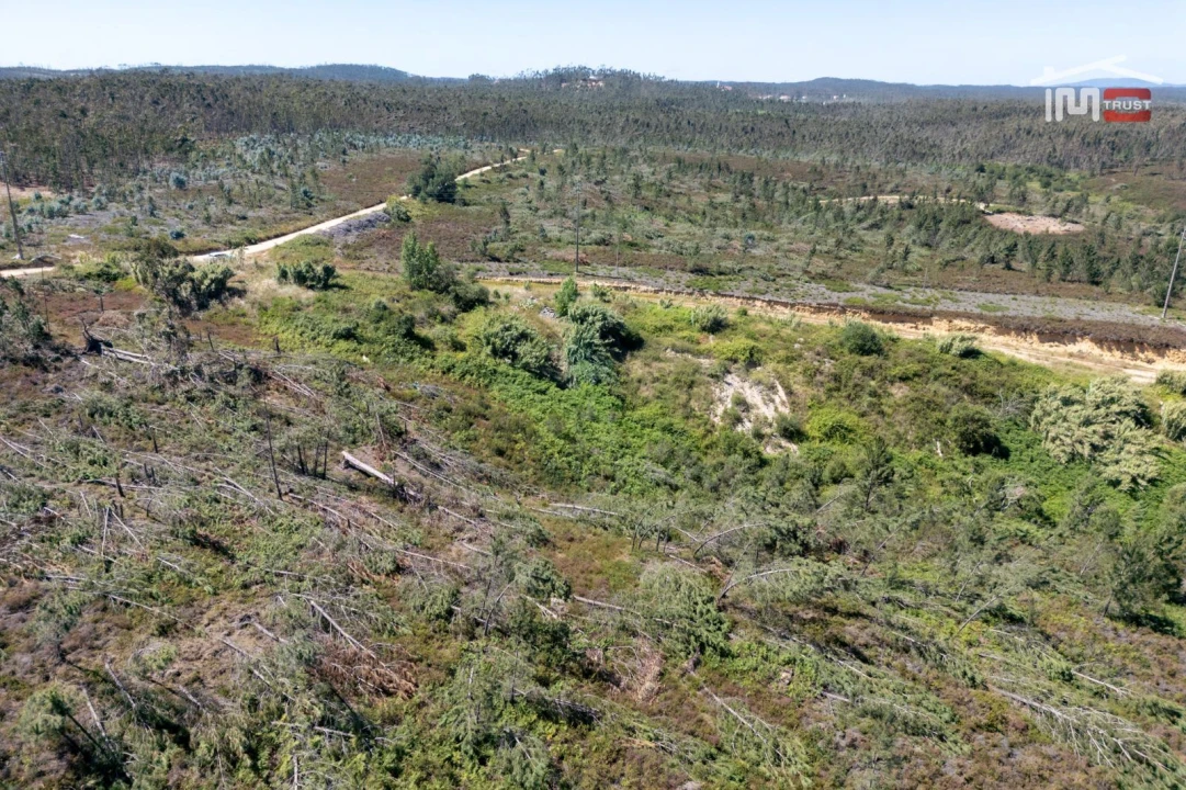 Terreno P/ Prédio para Venda em Caxarias Foto 11