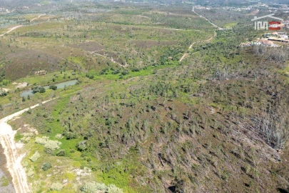 Terreno P/ Prédio para Venda em Caxarias