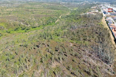 Terreno P/ Prédio para Venda em Caxarias