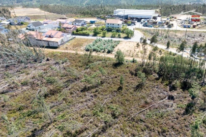 Terreno P/ Prédio para Venda em Caxarias
