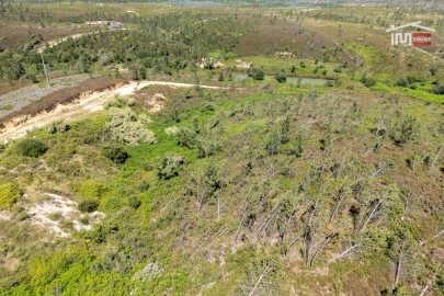 Terreno P/ Prédio para Venda em Caxarias