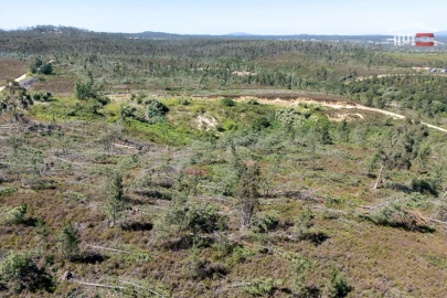 Terreno P/ Prédio para Venda em Caxarias