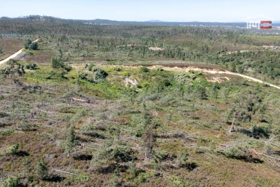 Terreno P/ Prédio para Venda em Caxarias