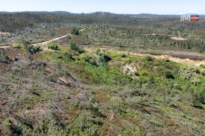 Terreno P/ Prédio para Venda em Caxarias