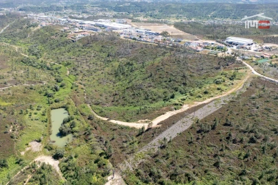 Terreno P/ Prédio para Venda em Caxarias