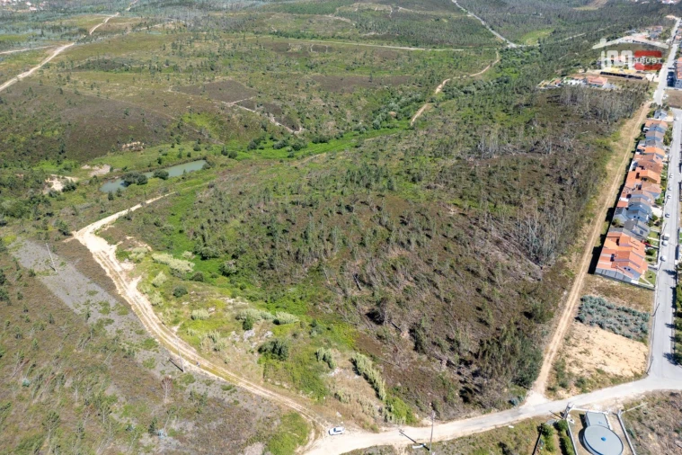 Terreno P/ Prédio para Venda em Caxarias Foto 2