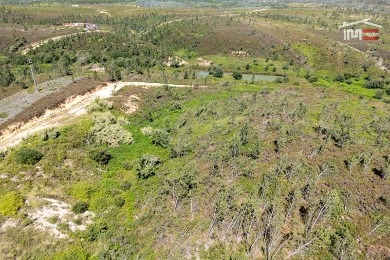 Terreno P/ Prédio para Venda em Caxarias Foto 6