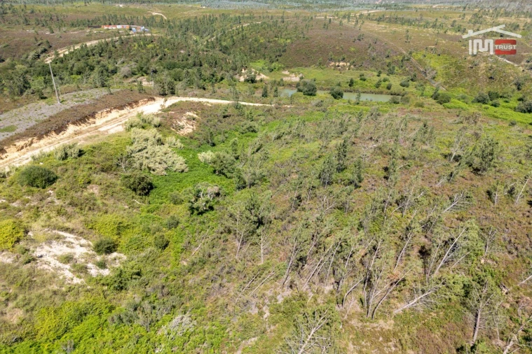 Terreno P/ Prédio para Venda em Caxarias Foto 8