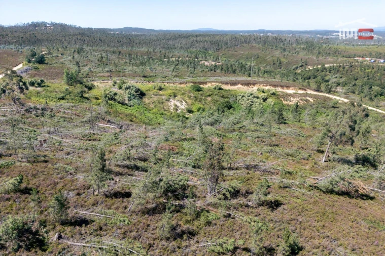 Terreno P/ Prédio para Venda em Caxarias Foto 9