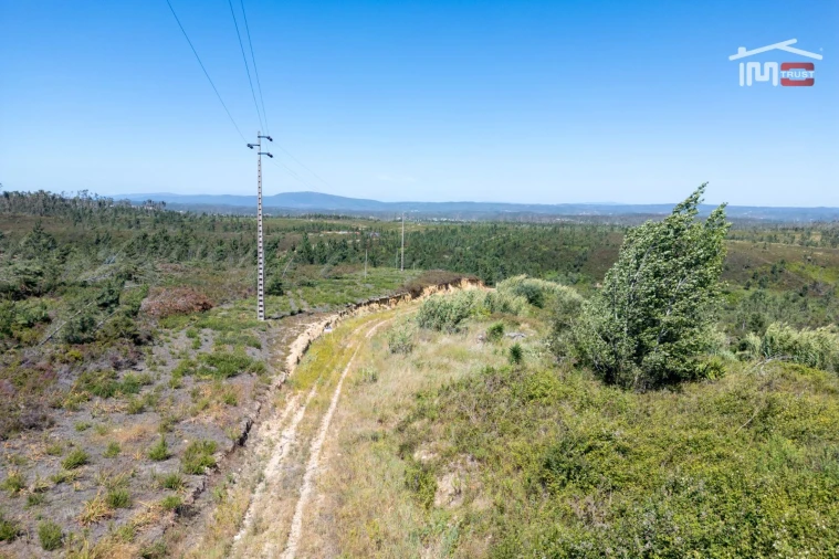 Terreno P/ Prédio para Venda em Caxarias Foto 13