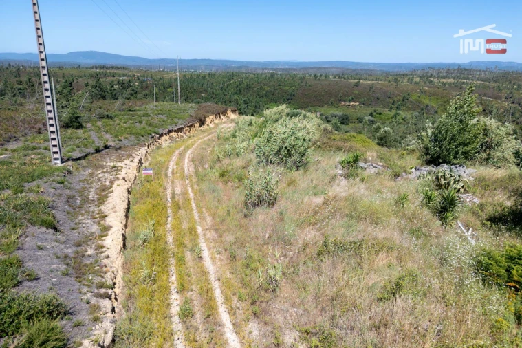 Terreno P/ Prédio para Venda em Caxarias Foto 15