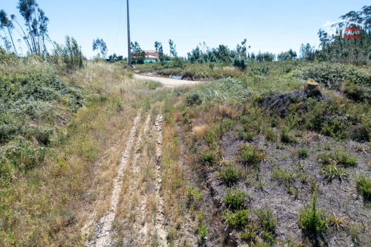 Terreno P/ Prédio para Venda em Caxarias Foto 16