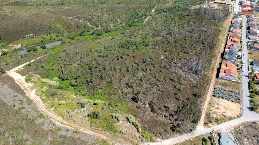 Terreno P/ Prédio para Venda em Caxarias
