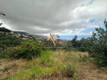 Terreno para Venda em São Roque