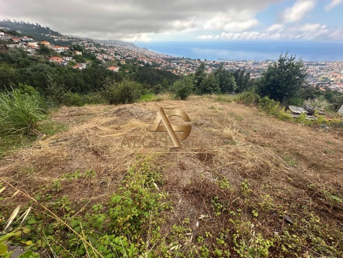 Terreno para Venda em São Roque Foto 12