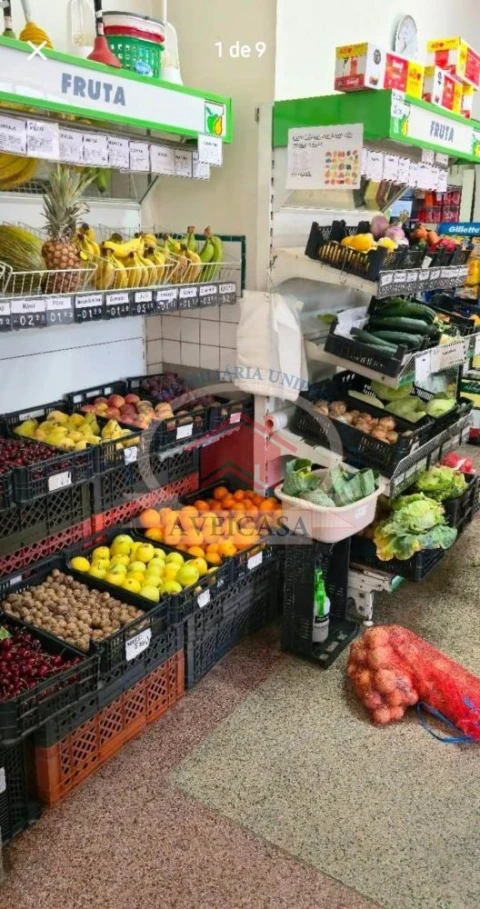 Loja para Venda em Aradas