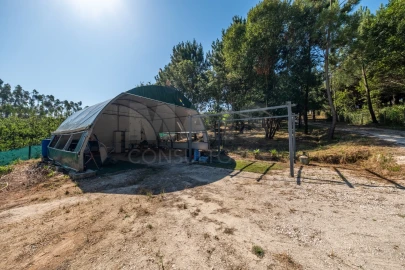 Terreno para Venda em Nossa Senhora do Pópulo, Coto e São Gregório