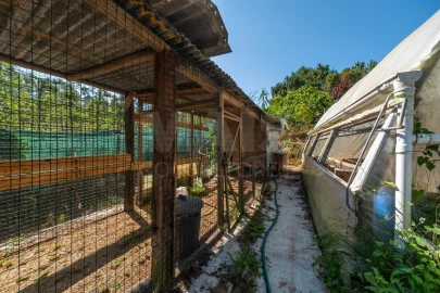 Terreno para Venda em Nossa Senhora do Pópulo, Coto e São Gregório