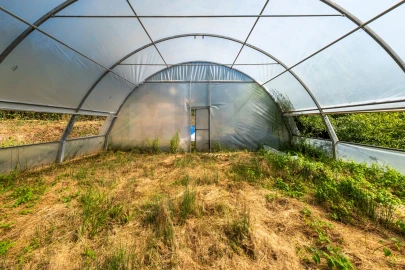 Terreno para Venda em Nossa Senhora do Pópulo, Coto e São Gregório
