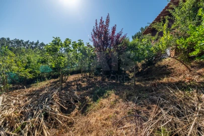 Terreno para Venda em Nossa Senhora do Pópulo, Coto e São Gregório