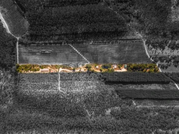 Terreno para Venda em Nossa Senhora do Pópulo, Coto e São Gregório