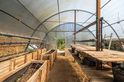 Terreno para Venda em Nossa Senhora do Pópulo, Coto e São Gregório
