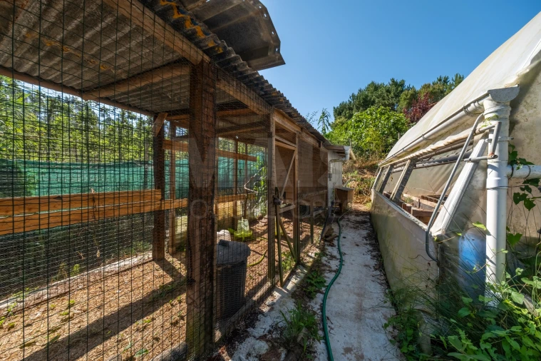 Terreno para Venda em Nossa Senhora do Pópulo, Coto e São Gregório Foto 11