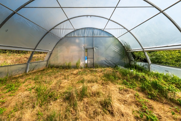 Terreno para Venda em Nossa Senhora do Pópulo, Coto e São Gregório Foto 6