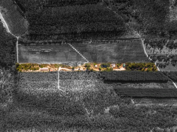 Terreno para Venda em Nossa Senhora do Pópulo, Coto e São Gregório Foto 2