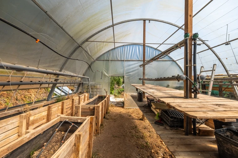 Terreno para Venda em Nossa Senhora do Pópulo, Coto e São Gregório Foto 10