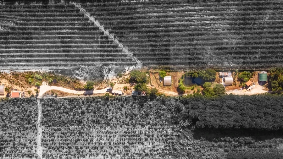 Terreno para Venda em Nossa Senhora do Pópulo, Coto e São Gregório