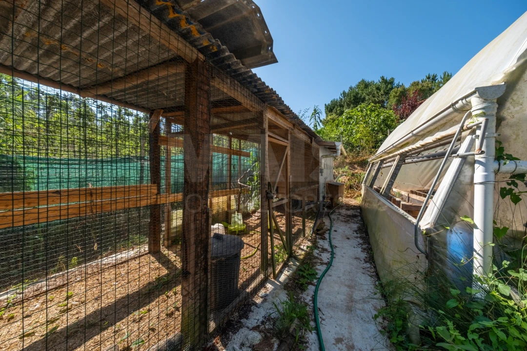 Terreno para Venda em Nossa Senhora do Pópulo, Coto e São Gregório Foto 11