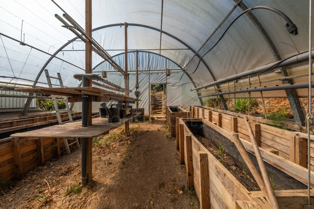Terreno para Venda em Nossa Senhora do Pópulo, Coto e São Gregório Foto 9