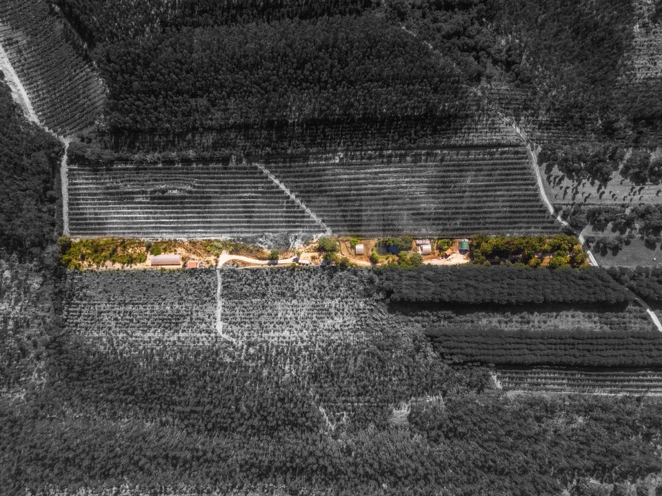 Terreno para Venda em Nossa Senhora do Pópulo, Coto e São Gregório Foto 2