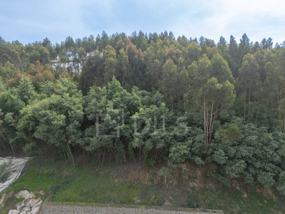 Apartamento T3 para Venda em Santa Marinha e São Pedro da Afurada Foto 38