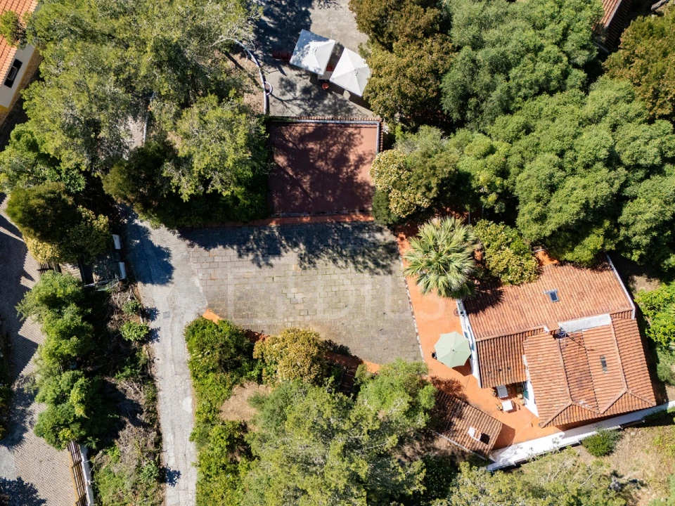 Moradia T10 para Venda em Santa Maria e São Miguel, São Martinho, São Pedro Penaferrim Foto 12