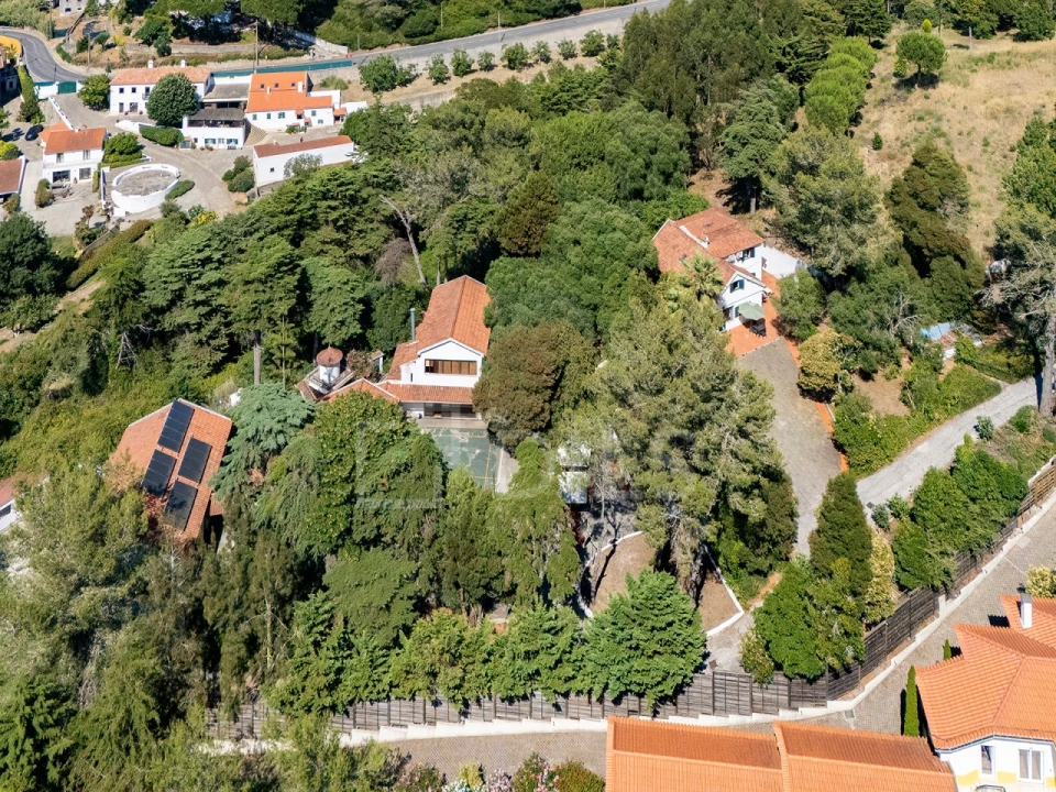 Moradia T10 para Venda em Santa Maria e São Miguel, São Martinho, São Pedro Penaferrim Foto 20