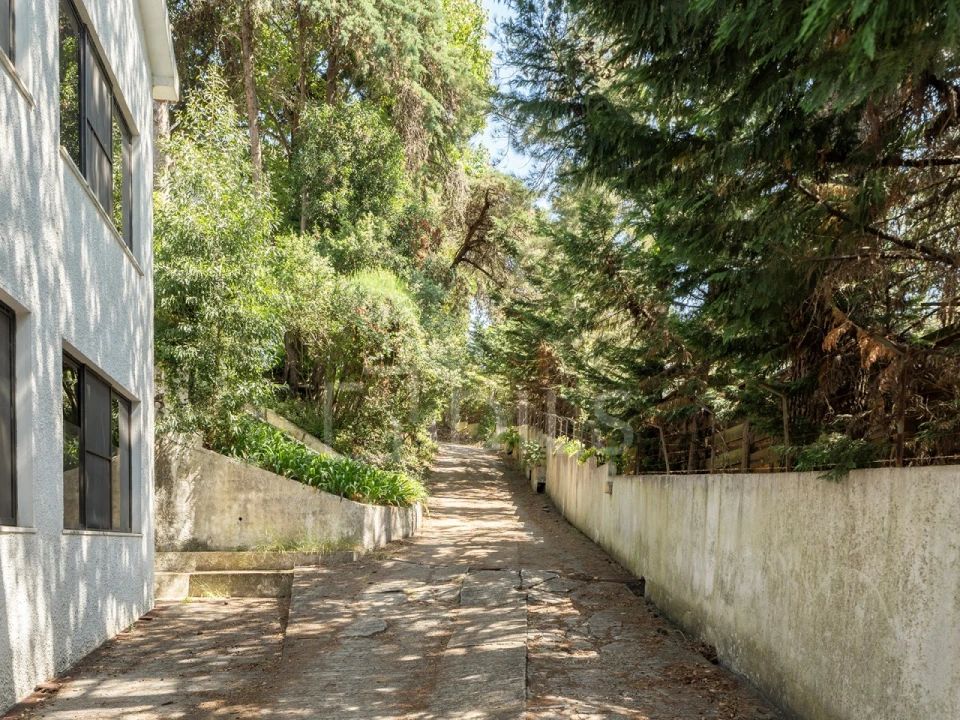 Moradia T10 para Venda em Santa Maria e São Miguel, São Martinho, São Pedro Penaferrim Foto 36