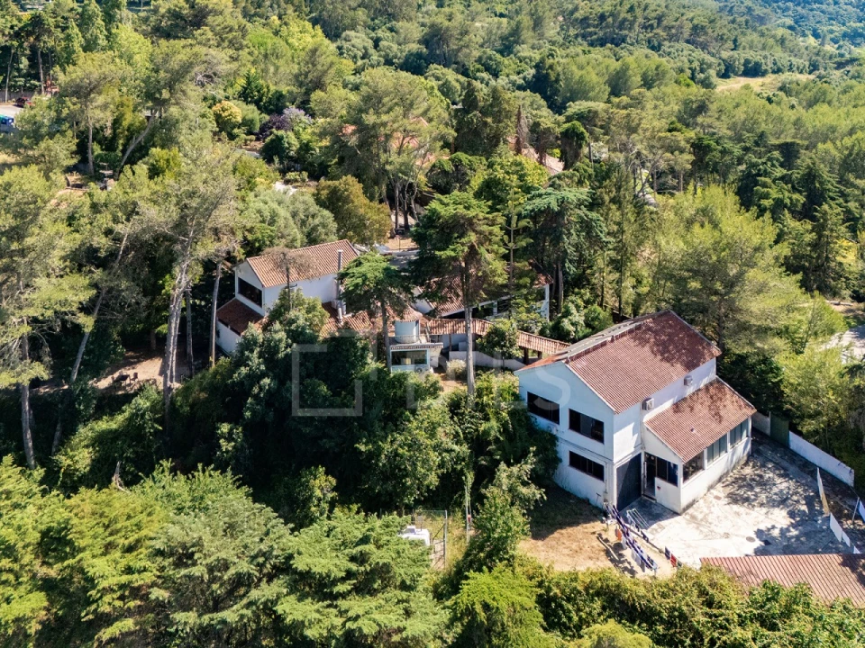 Moradia T10 para Venda em Santa Maria e São Miguel, São Martinho, São Pedro Penaferrim Foto 11