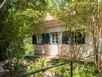 Moradia T10 para Venda em Santa Maria e São Miguel, São Martinho, São Pedro Penaferrim