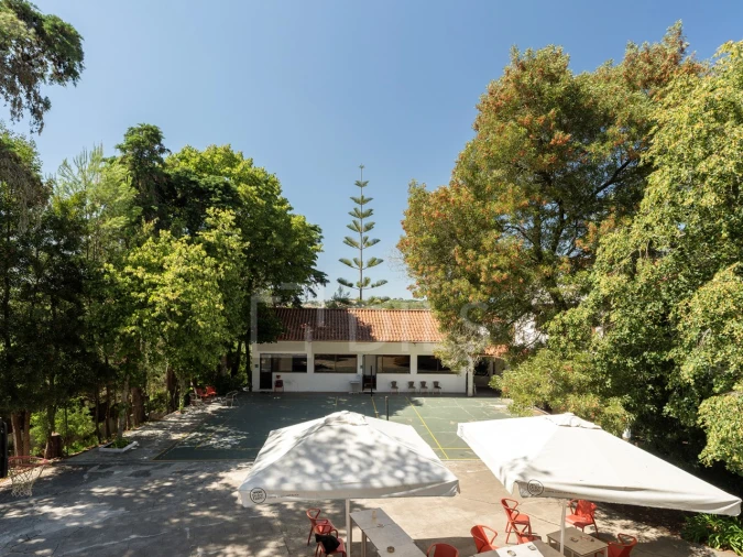 Moradia T10 para Venda em Santa Maria e São Miguel, São Martinho, São Pedro Penaferrim Foto 6