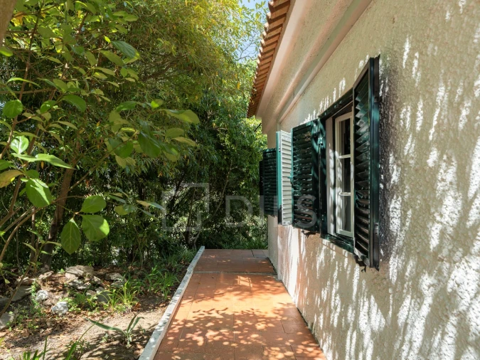 Moradia T10 para Venda em Santa Maria e São Miguel, São Martinho, São Pedro Penaferrim Foto 10