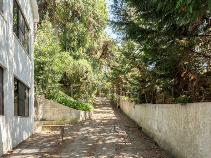 Moradia T10 para Venda em Santa Maria e São Miguel, São Martinho, São Pedro Penaferrim Foto 36