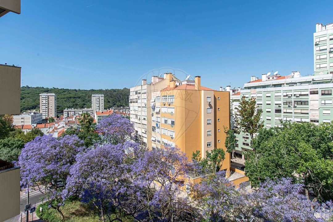 Apartamento T2 para Venda em São Domingos de Benfica Foto 5